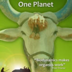 One man one cow dvd