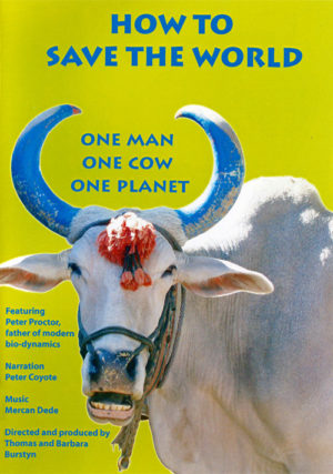 How to Save the World - Digital Download